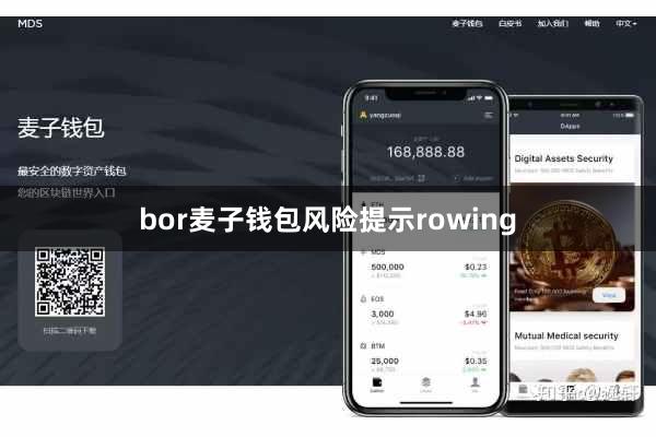 bor麦子钱包风险提示rowing