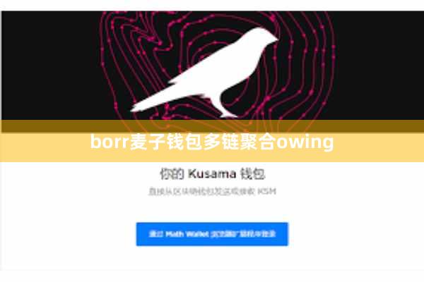 borr麦子钱包多链聚合owing