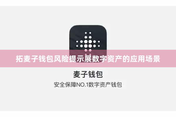 拓麦子钱包风险提示展数字资产的应用场景