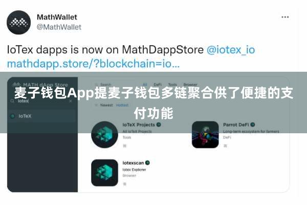 麦子钱包App提麦子钱包多链聚合供了便捷的支付功能