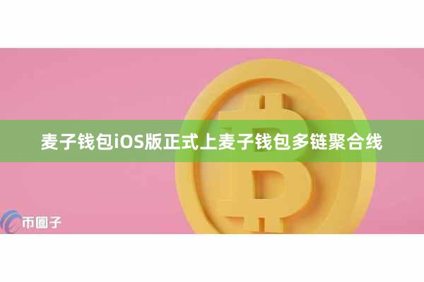 麦子钱包iOS版正式上麦子钱包多链聚合线