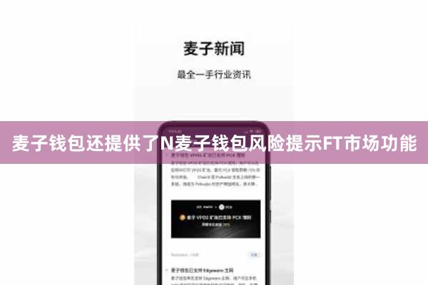 麦子钱包还提供了N麦子钱包风险提示FT市场功能