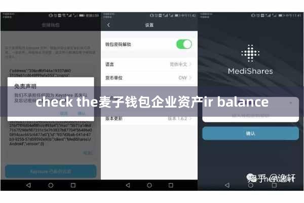 check the麦子钱包企业资产ir balance