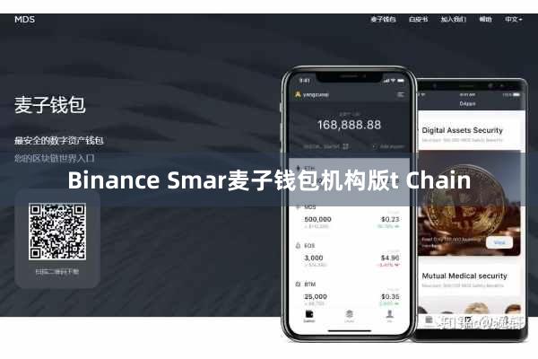 Binance Smar麦子钱包机构版t Chain
