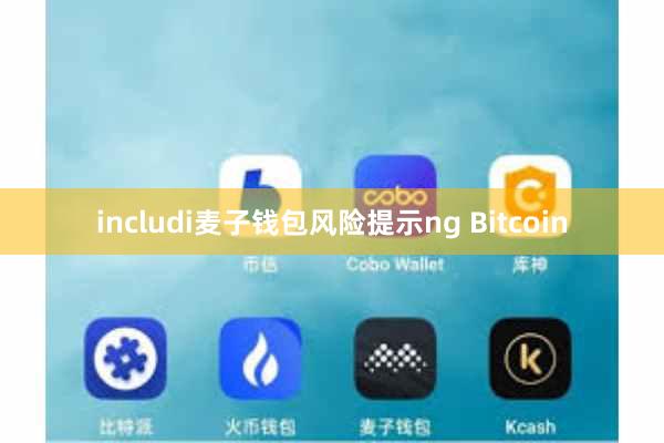 includi麦子钱包风险提示ng Bitcoin