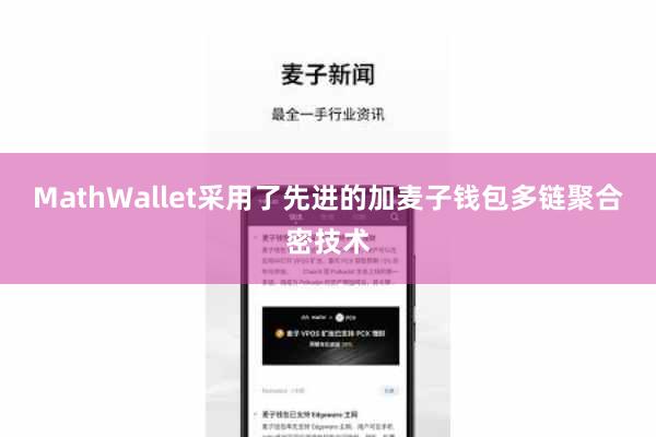 MathWallet采用了先进的加麦子钱包多链聚合密技术